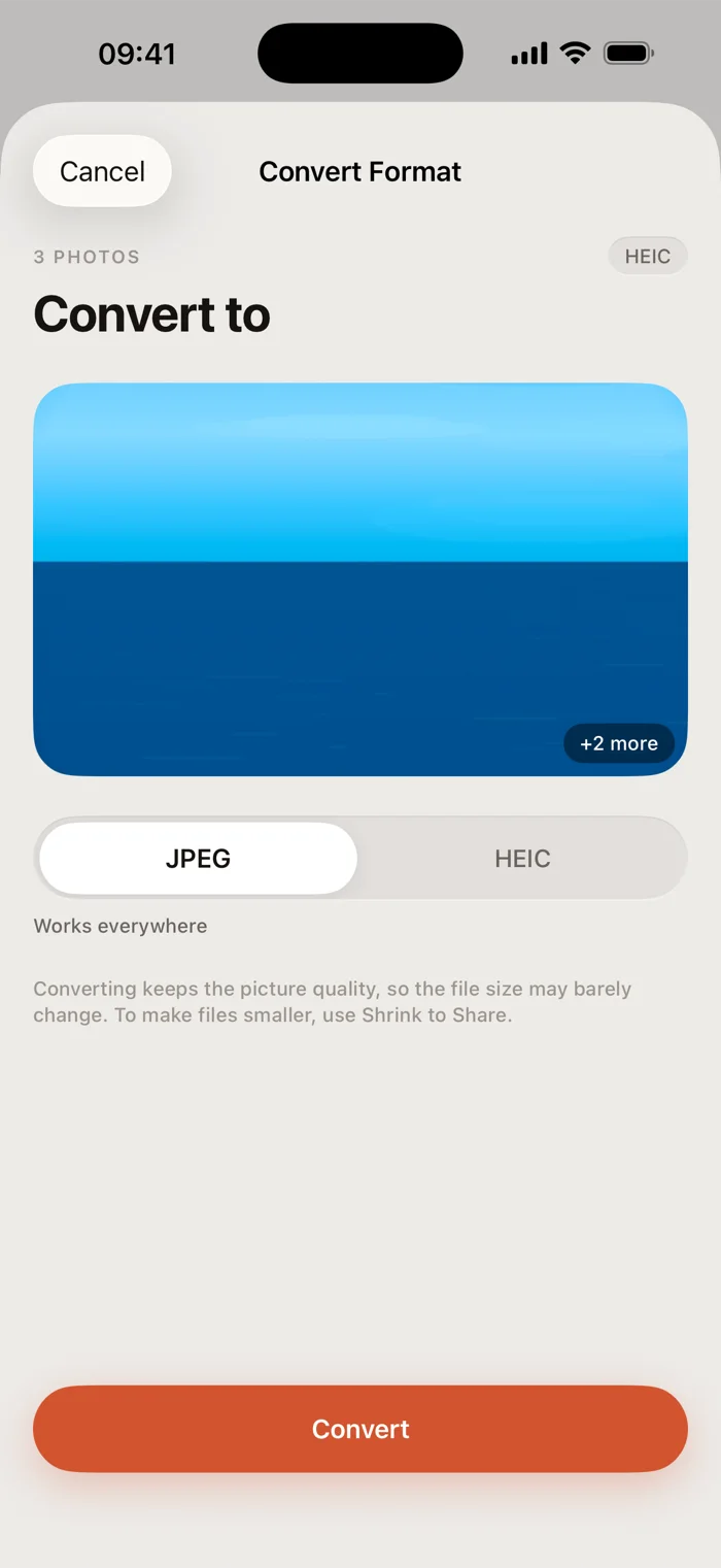 Format picker offering JPEG or HEIC, with a note that converting barely changes file size.